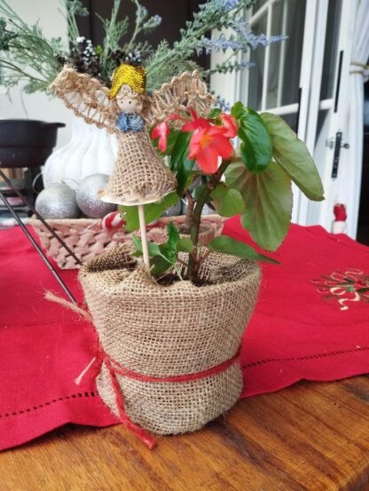 hermosa begonia navidena con maceta de tela de yute y angelito de yute